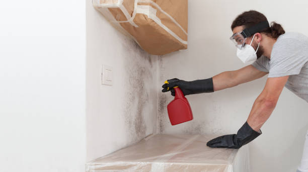 Professional Mold Inspection technician working in Winthrop, MA
