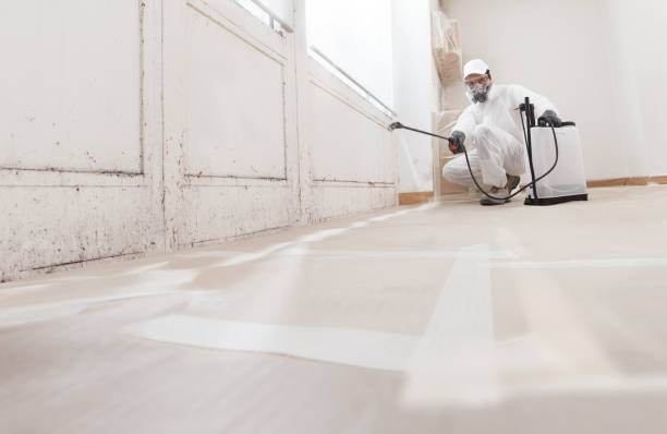 24/7 Emergency Mold Inspection experts in Winthrop, MA